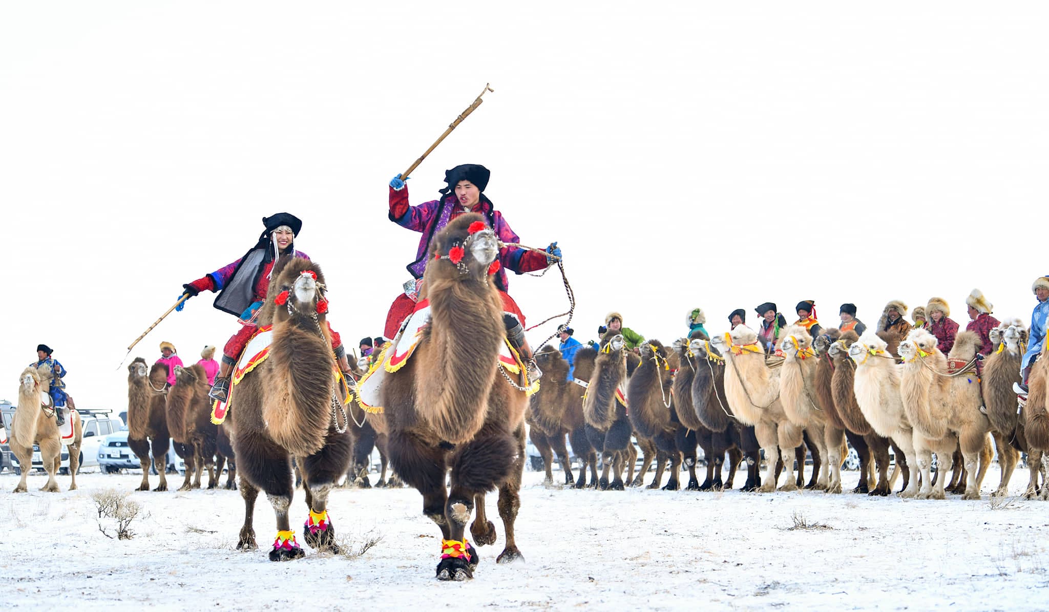Camel Festival